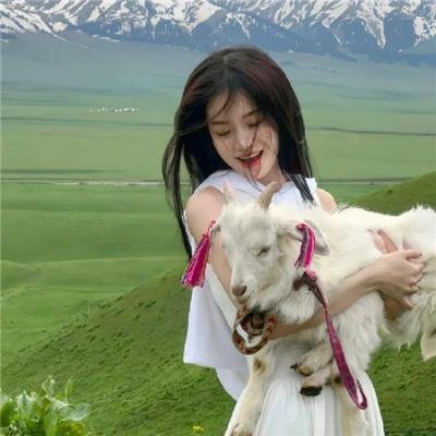 秩序的守护者