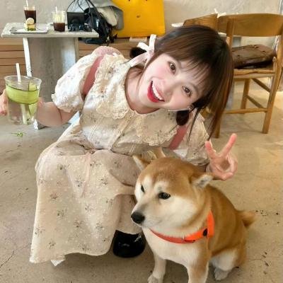 人鱼先生
